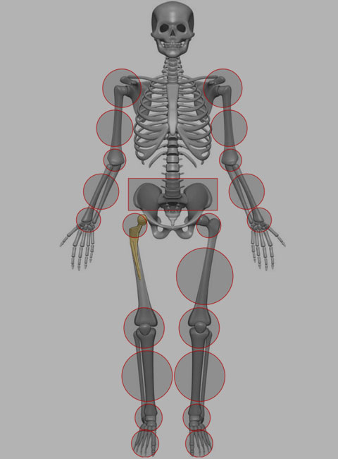Orthopaedic-Urgent-Care-Orthopedic-Skeletor-Specialties-Trauma